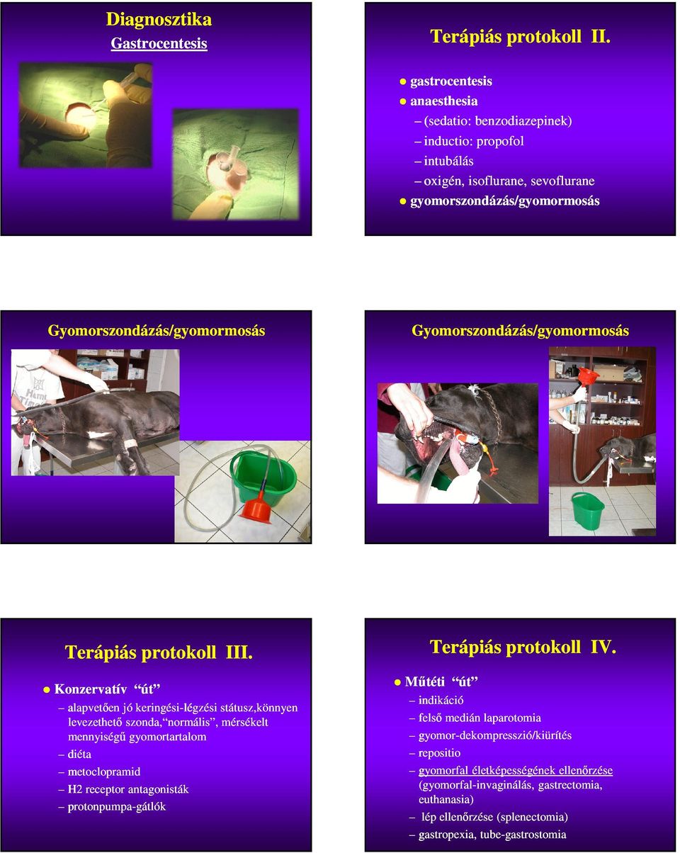 Gyomorszondázás/gyomormosás Terápiás protokoll III.