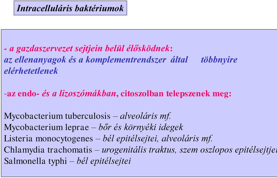 Mycobacterium tuberculosis alveoláris mf.