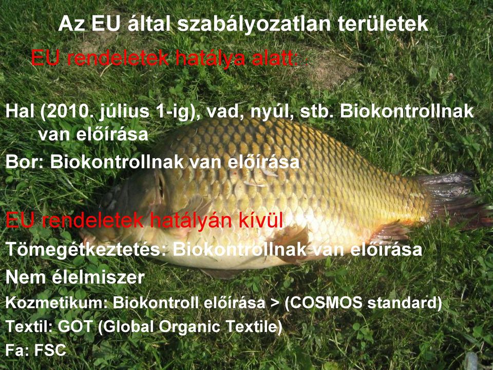 Biokontrollnak van előírása Bor: Biokontrollnak van előírása EU rendeletek hatályán