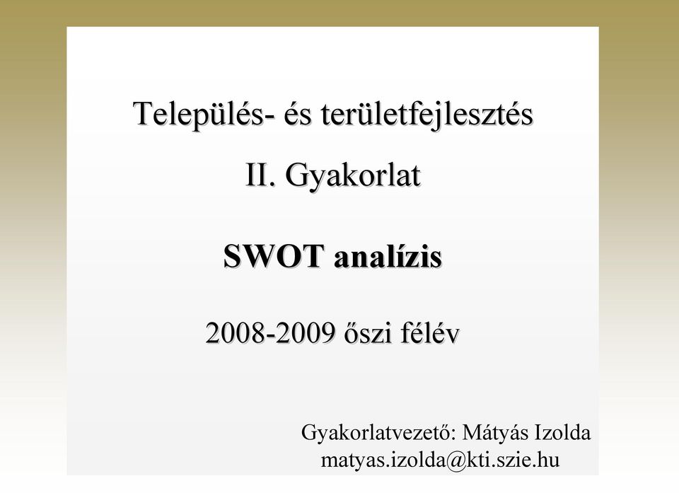 Gyakorlat SWOT analízis 2008-2009 2009