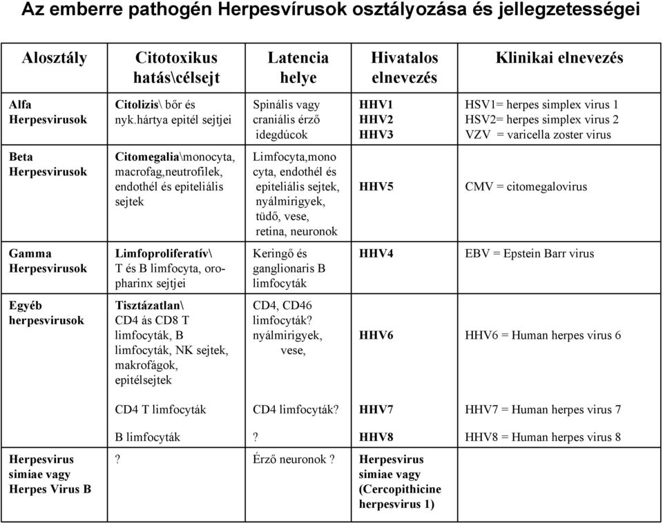 Citomegalia\monocyta, macrofag,neutrofilek, endothél és epiteliális sejtek Limfocyta,mono cyta, endothél és epiteliális sejtek, nyálmirigyek, tüdő, vese, retina, neuronok HHV5 CMV = citomegalovirus