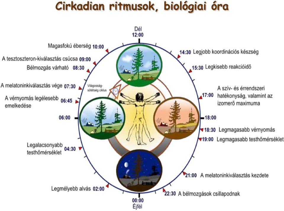 biológiai