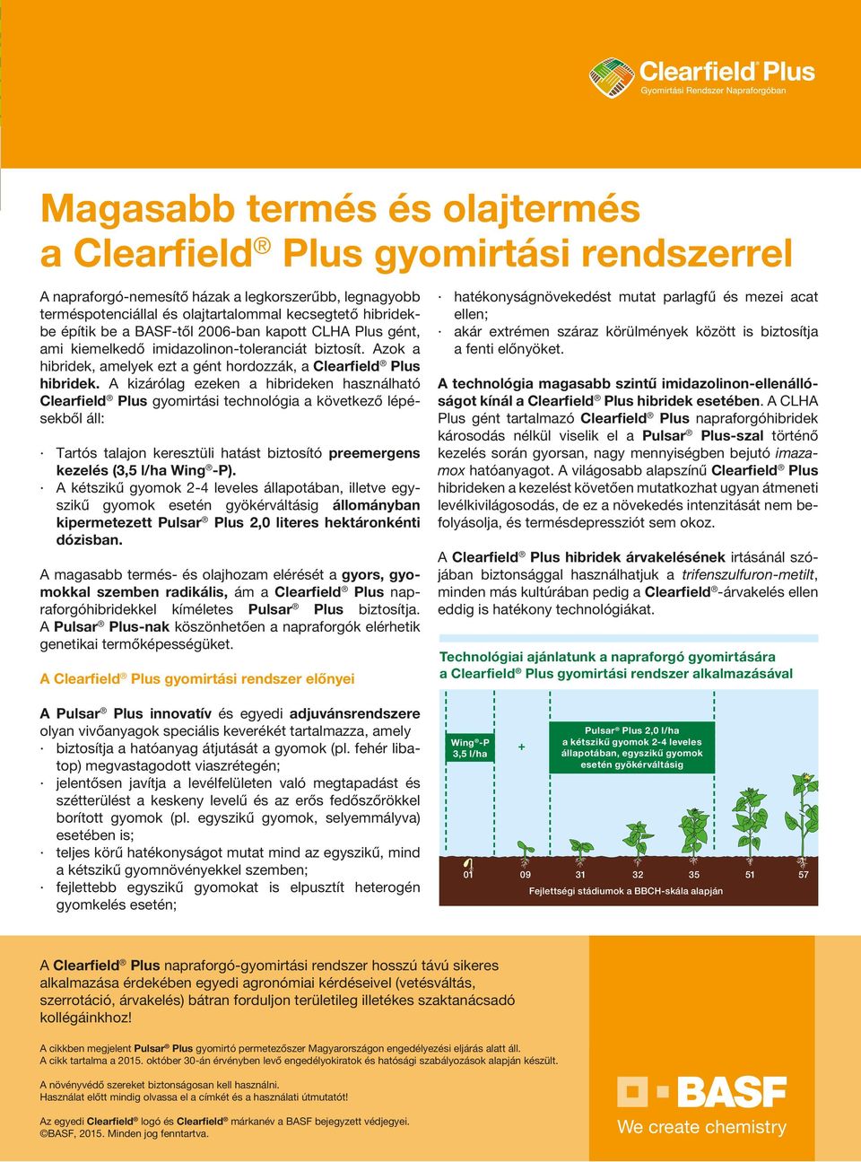 A kizárólag ezeken a hibrideken használható Clearfield Plus gyomirtási technológia a következő lépésekből áll: Tartós talajon keresztüli hatást biztosító preemergens kezelés (3,5 l/ha Wing -P).