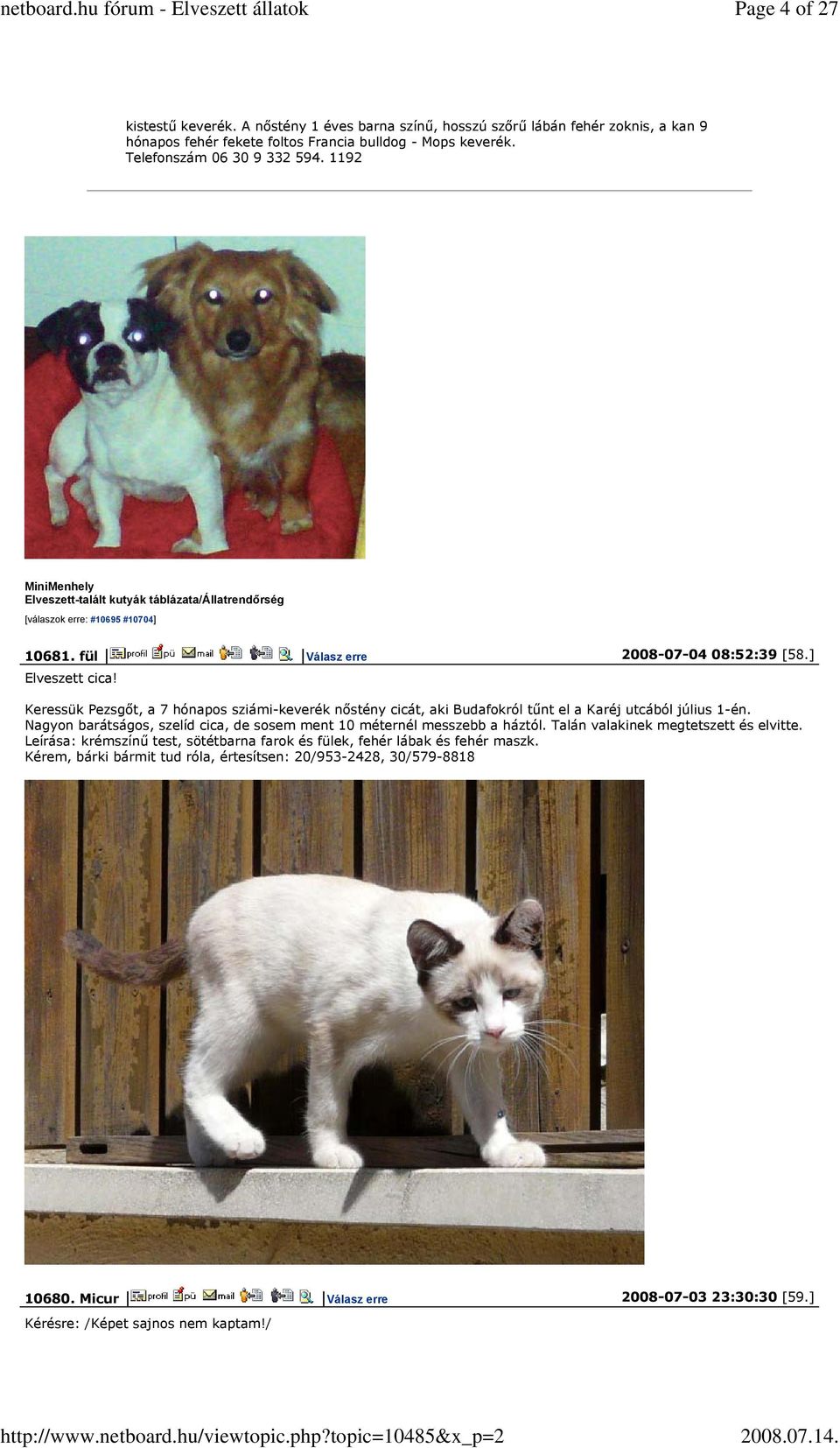Keressük Pezsgőt, a 7 hónapos sziámi-keverék nőstény cicát, aki Budafokról tűnt el a Karéj utcából július 1-én. Nagyon barátságos, szelíd cica, de sosem ment 10 méternél messzebb a háztól.