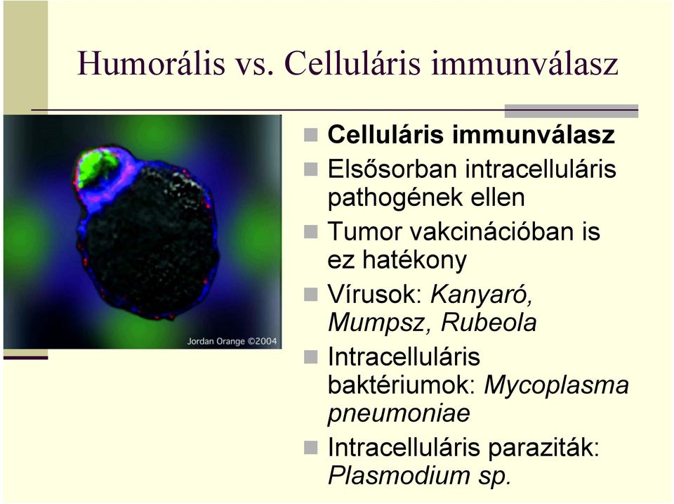 intracelluláris pathogének ellen Tumor vakcinációban is ez