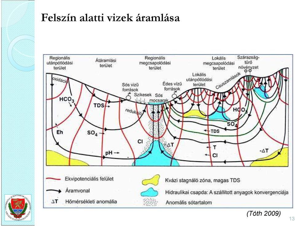 vizek