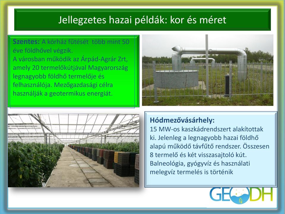 Mezőgazdasági célra használják a geotermikus energiát. Hódmezővásárhely: 15 MW-os kaszkádrendszert alakítottak ki.