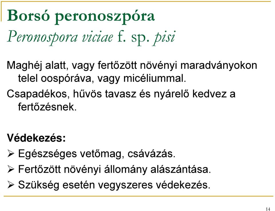 micéliummal. Csapadékos, hűvös tavasz és nyárelő kedvez a fertőzésnek.