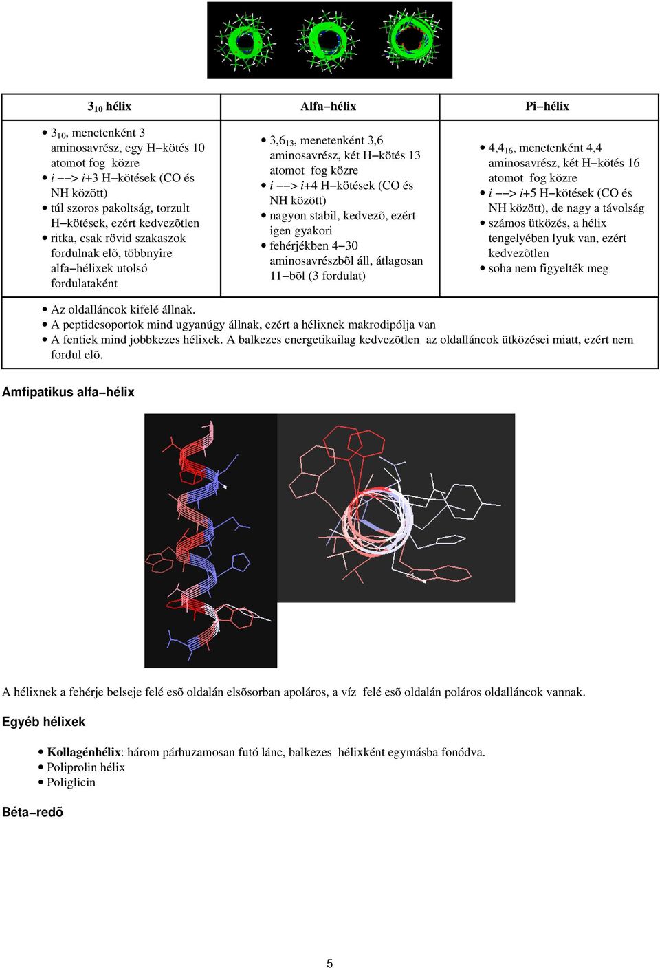 stabil, kedvezõ, ezért igen gyakori fehérjékben 4 30 aminosavrészbõl áll, átlagosan 11 bõl (3 fordulat) 4,4 16, menetenként 4,4 aminosavrész, két H kötés 16 atomot fog közre i > i+5 H kötések (CO és