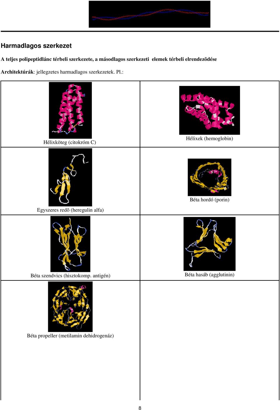 : Hélixköteg (citokróm C) Hélixek (hemoglobin) Béta hordó (porin) Egyszeres redõ (heregulin