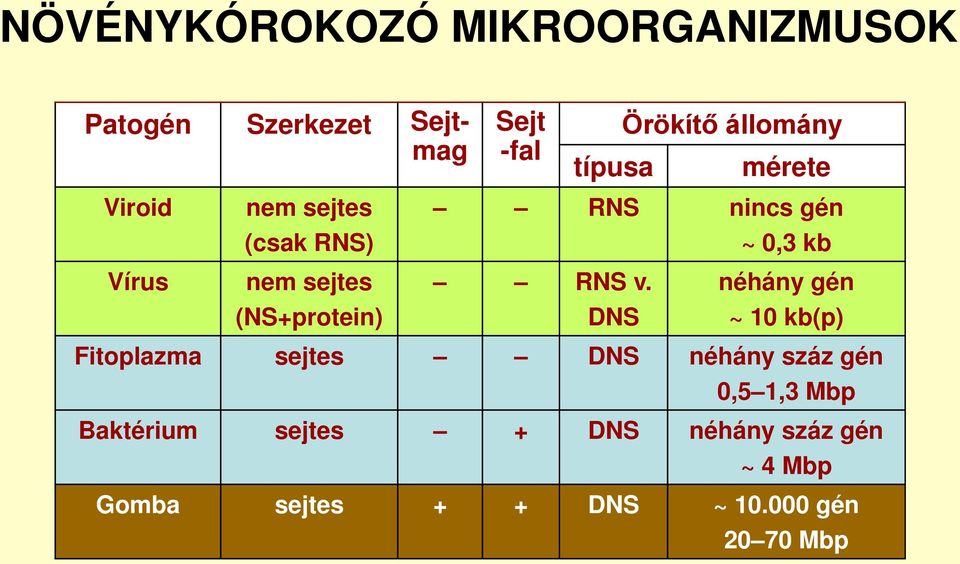 v. néhány gén (NS+protein) DNS ~ 10 kb(p) Fitoplazma sejtes DNS néhány száz gén 0,5 1,3