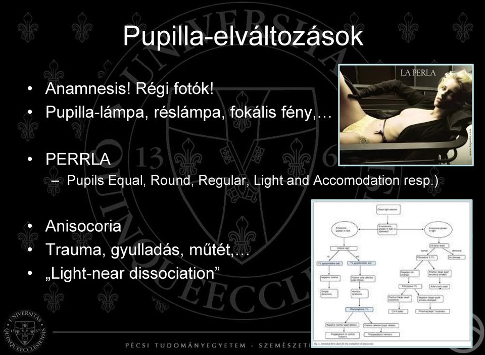 Equal, Round, Regular, Light and Accomodation resp.