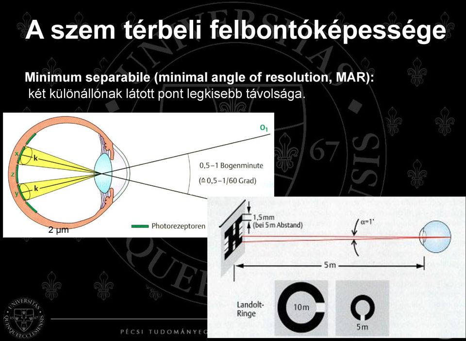 of resolution, MAR): két