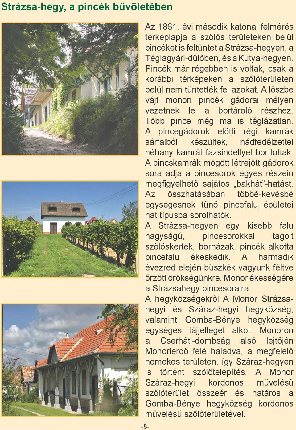 Több pince még ma is téglázatlan. A pincegádorok előtti régi kamrák sárfalból készültek, nádfedélzettel néhány kamrát fazsindellyel borítottak.
