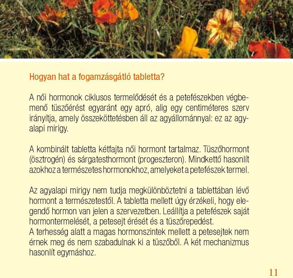 mirigy. A kombinált tabletta kétfajta női hormont tartalmaz. Tüszőhormont (ösztrogén) és sárgatesthormont (progeszteron).