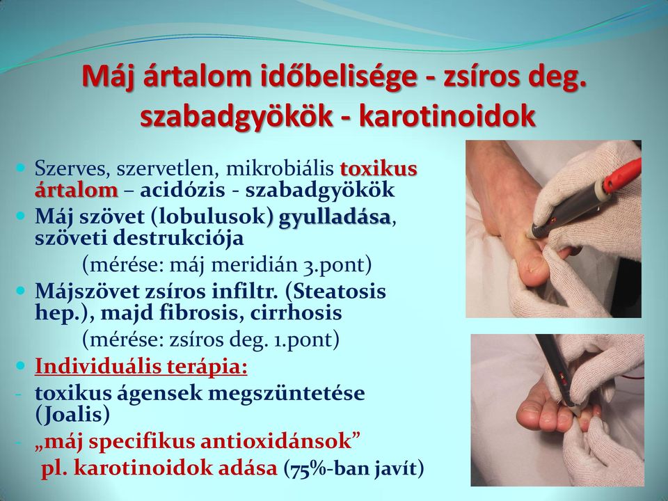 (lobulusok) gyulladása, szöveti destrukciója (mérése: máj meridián 3.pont) Májszövet zsíros infiltr.