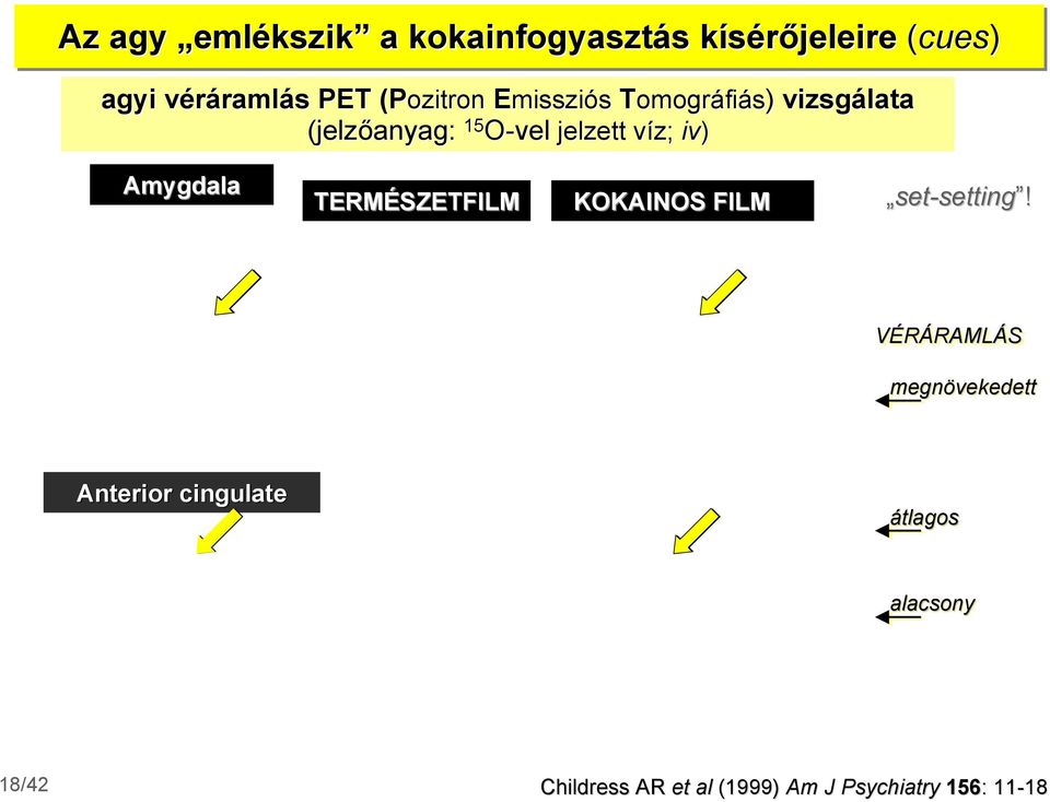 jelzett víz; v iv) Amygdala TERMÉSZETFILM KKAIS FILM set-setting!