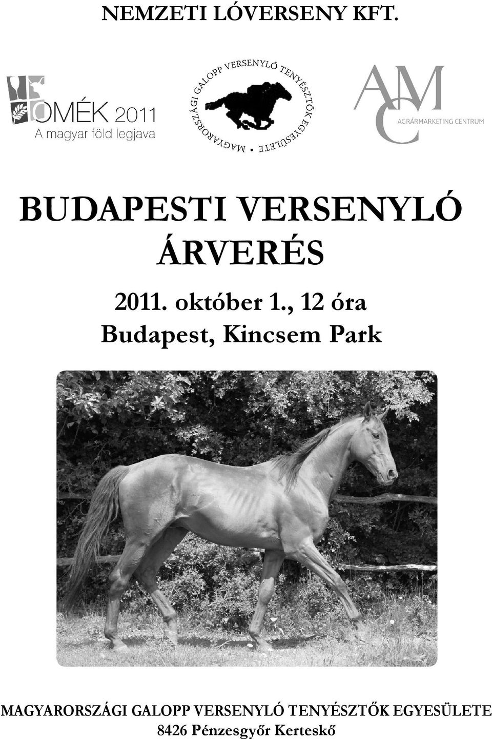 , 12 óra Budapest, Kincsem Park