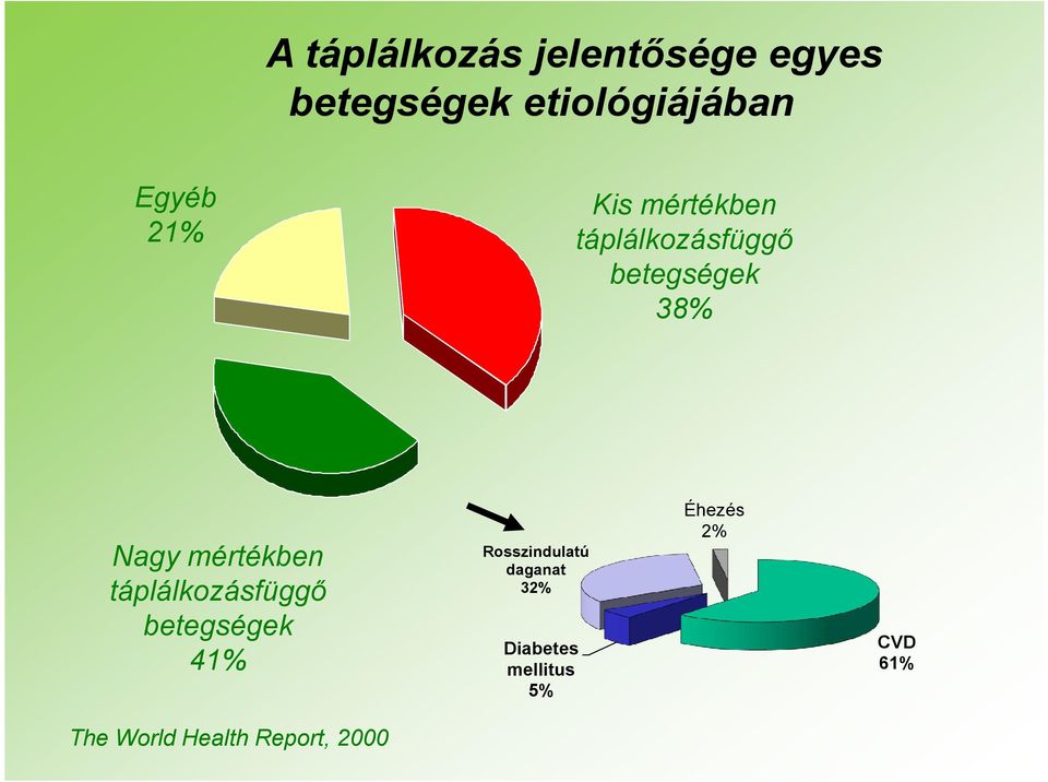 mértékben táplálkozásfüggő betegségek 41% Rosszindulatú daganat