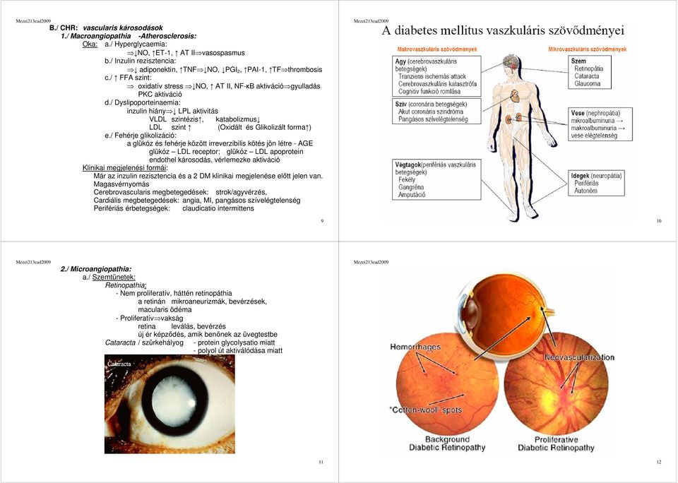 / Dyslipoporteinaemia: inzulin hiány LPL aktivitás VLDL szintézis, katabolizmus LDL szint (Oxidált és Glikolizált forma ) e.