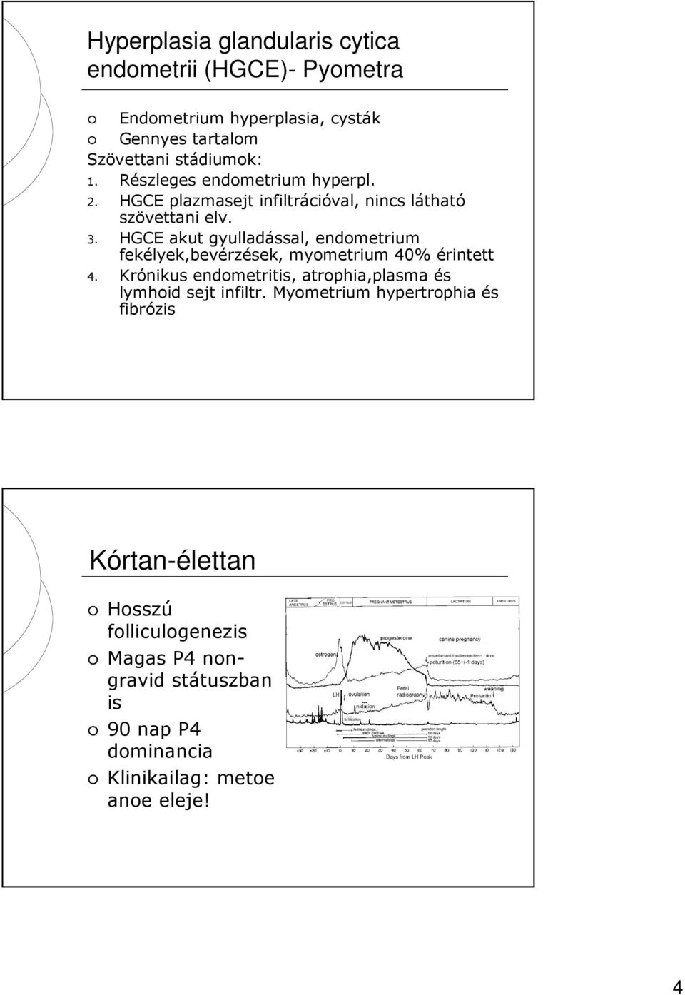 HGCE akut gyulladással, endometrium fekélyek,bevérzések, myometrium 40% érintett 4.