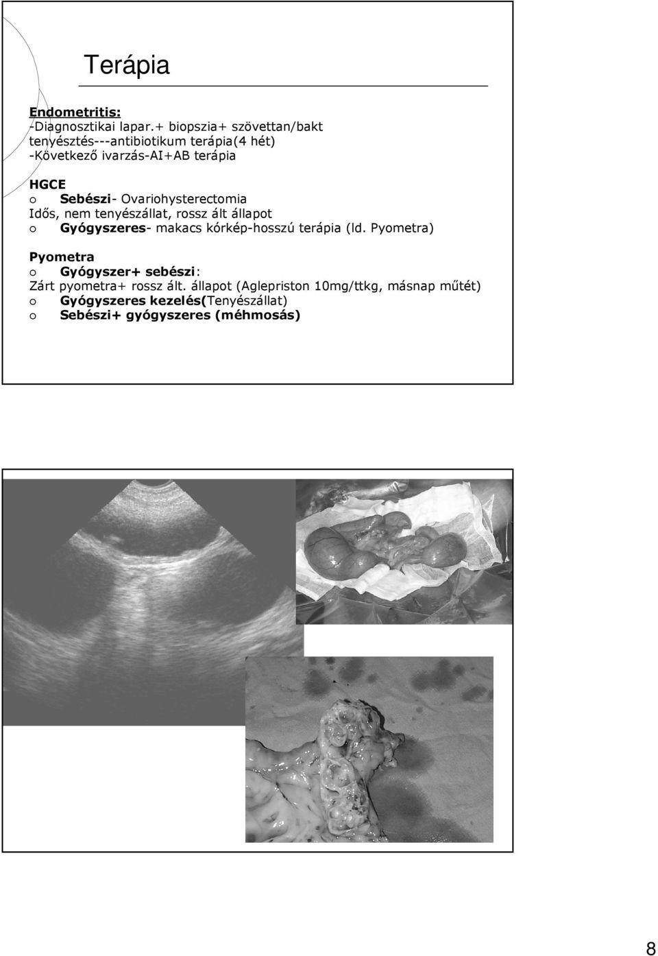Sebészi- Ovariohysterectomia Idős, nem tenyészállat, rossz ált állapot Gyógyszeres- makacs kórkép-hosszú