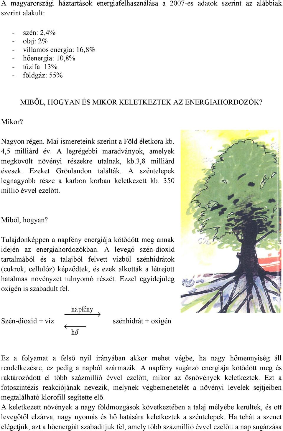 A legrégebbi maradványok, amelyek megkövült növényi részekre utalnak, kb.3,8 milliárd évesek. Ezeket Grönlandon találták. A széntelepek legnagyobb része a karbon korban keletkezett kb.