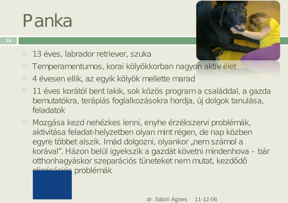 kezd nehézkes lenni, enyhe érzékszervi problémák, aktivitása feladat-helyzetben olyan mint régen, de nap közben egyre többet alszik.