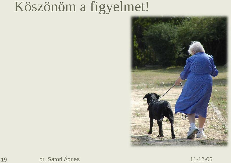 figyelmet!