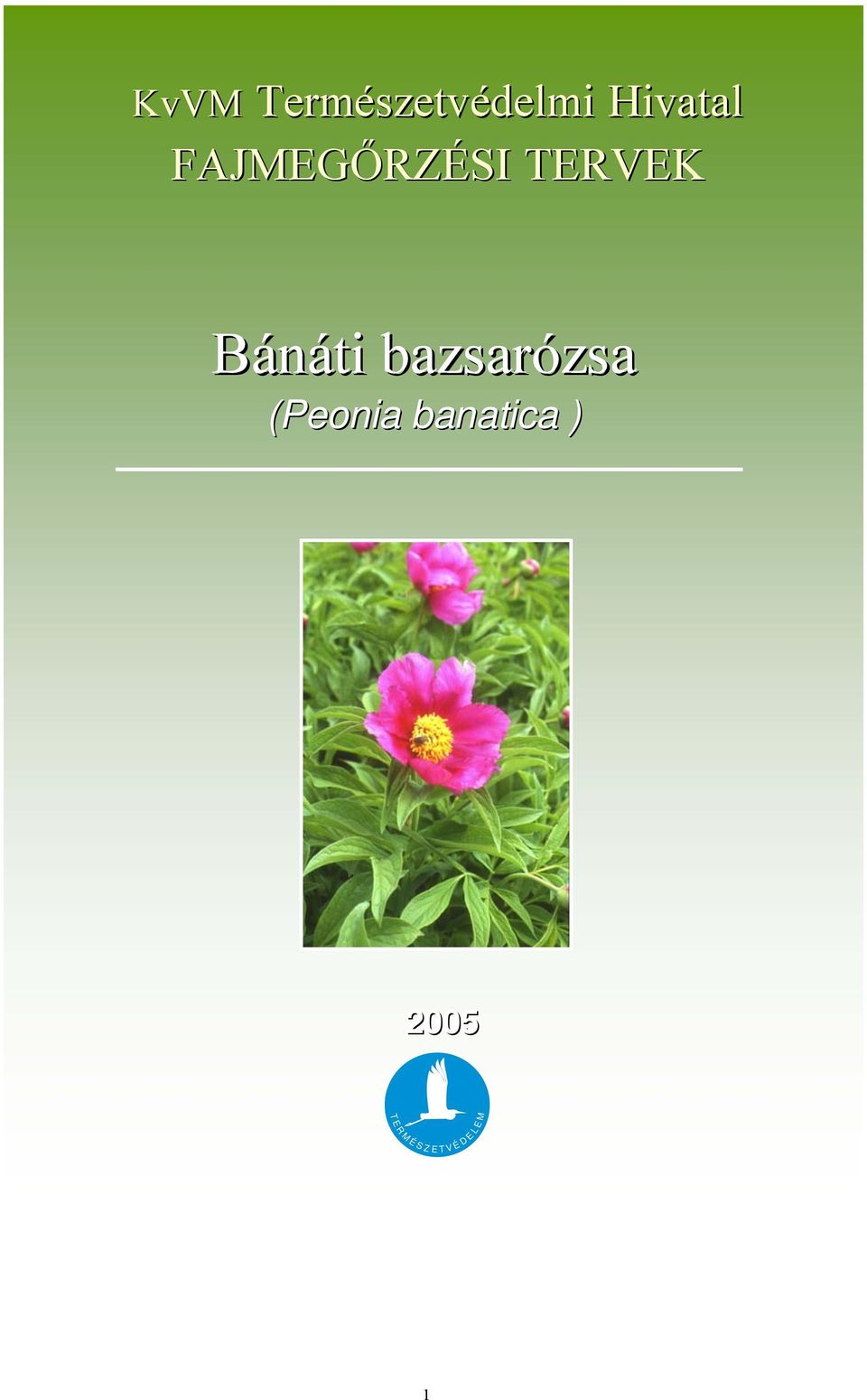 bazsarózsa (Peonia banatica )