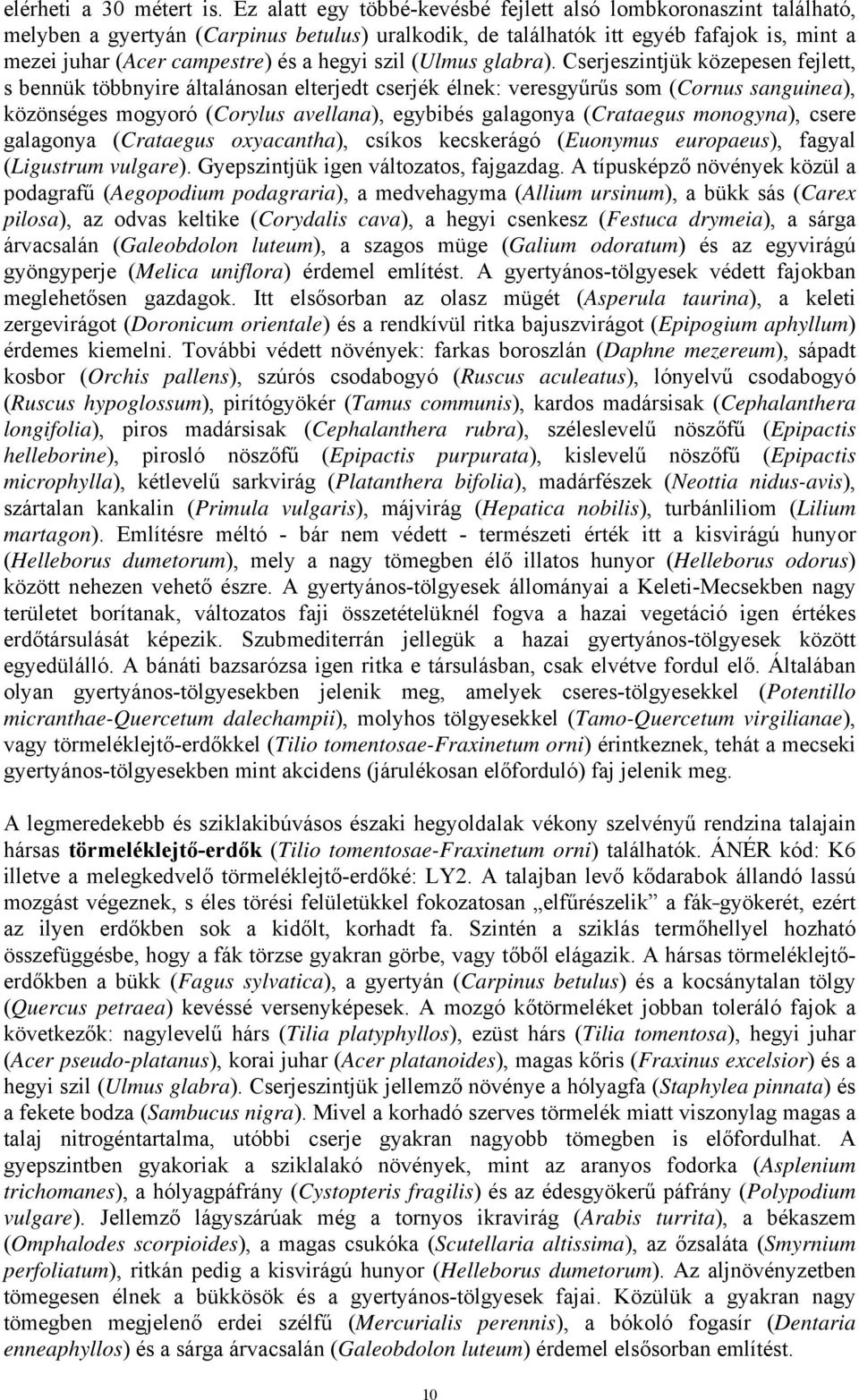 szil (Ulmus glabra).