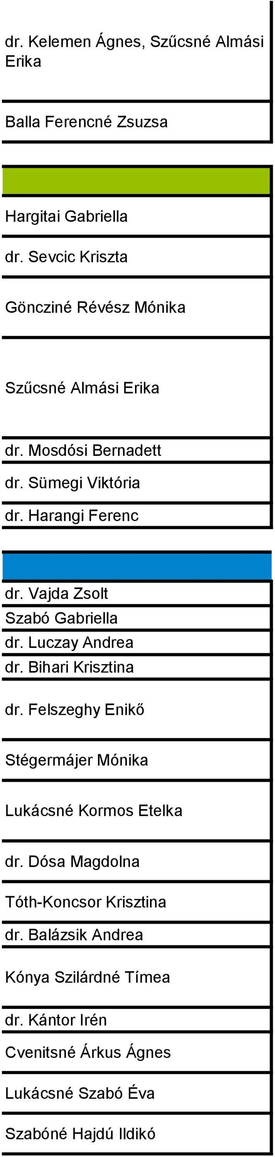 Vajda Zsolt Szabó Gabriella dr. Luczay Andrea dr. Bihari Krisztina dr.