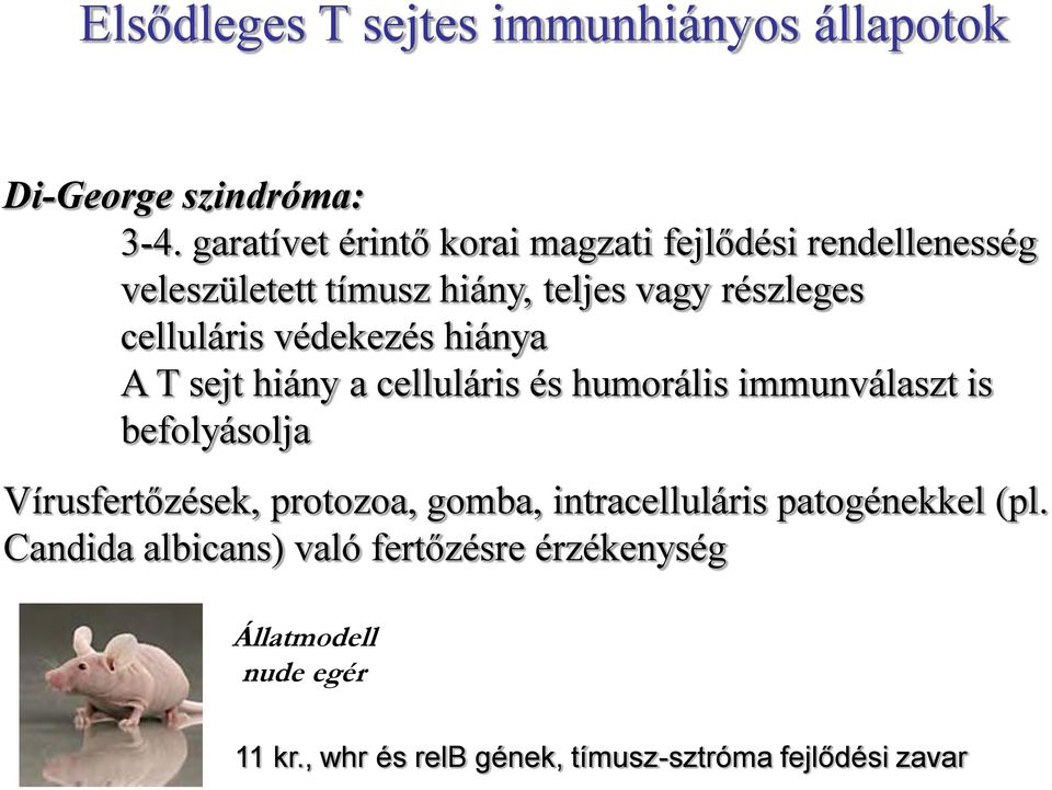 celluláris védekezés hiánya A T sejt hiány a celluláris és humorális immunválaszt is befolyásolja Vírusfertőzések,