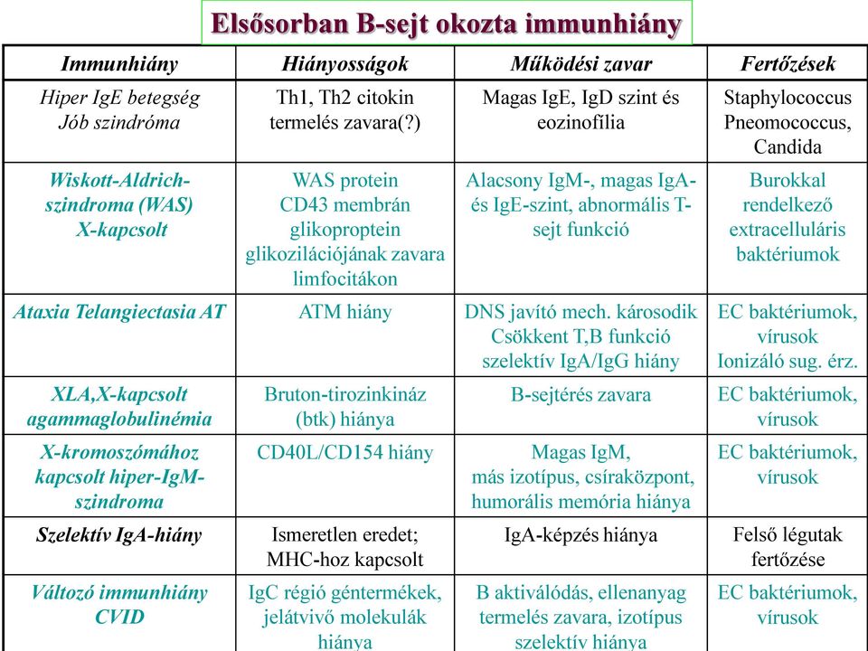 Telangiectasia AT ATM hiány DNS javító mech.