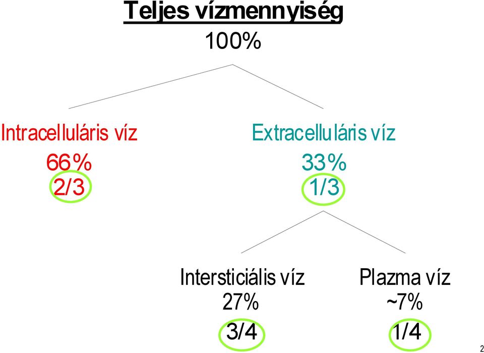 Extracelluláris víz 33% 1/3