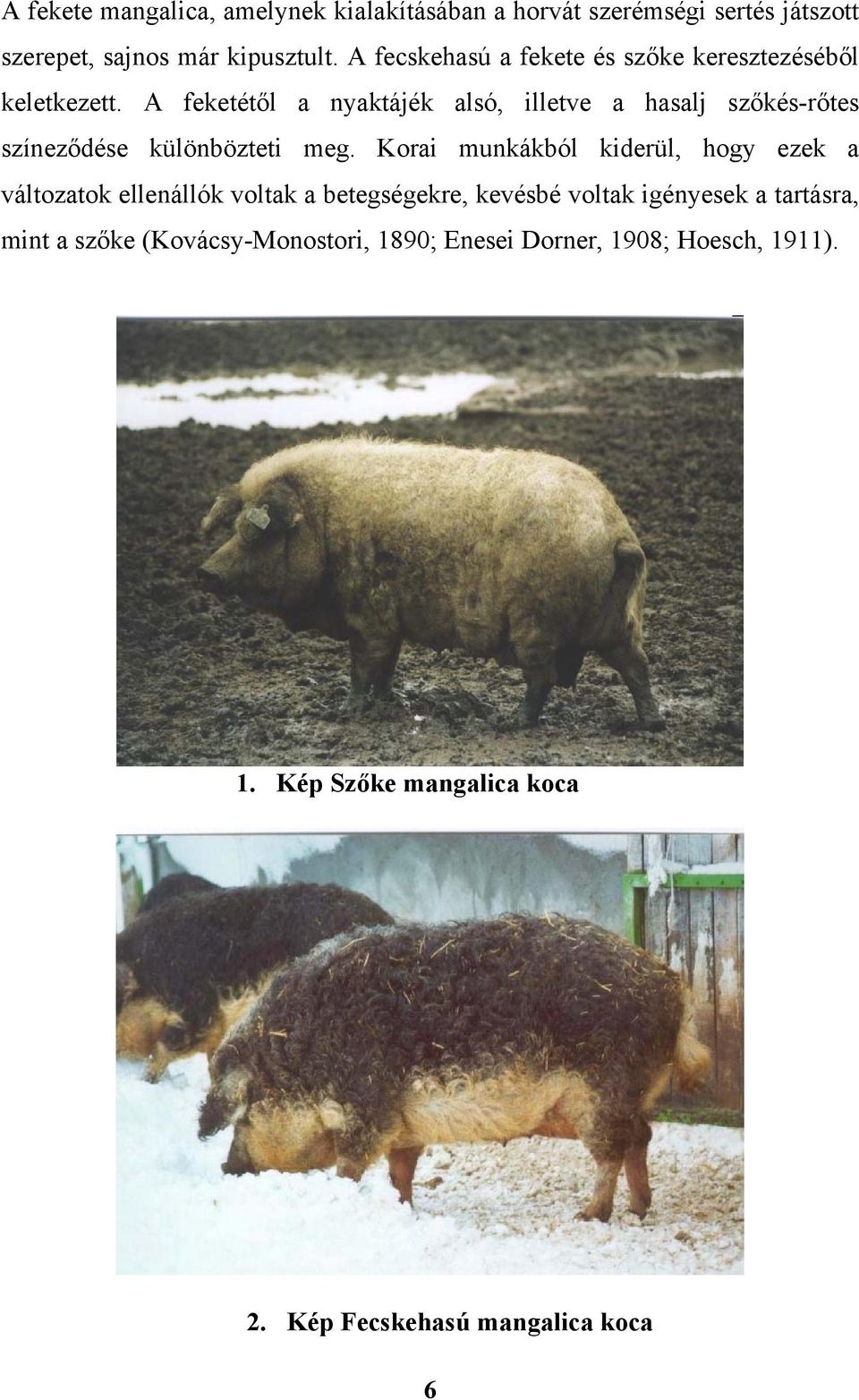 A feketétől a nyaktájék alsó, illetve a hasalj szőkés-rőtes színeződése különbözteti meg.
