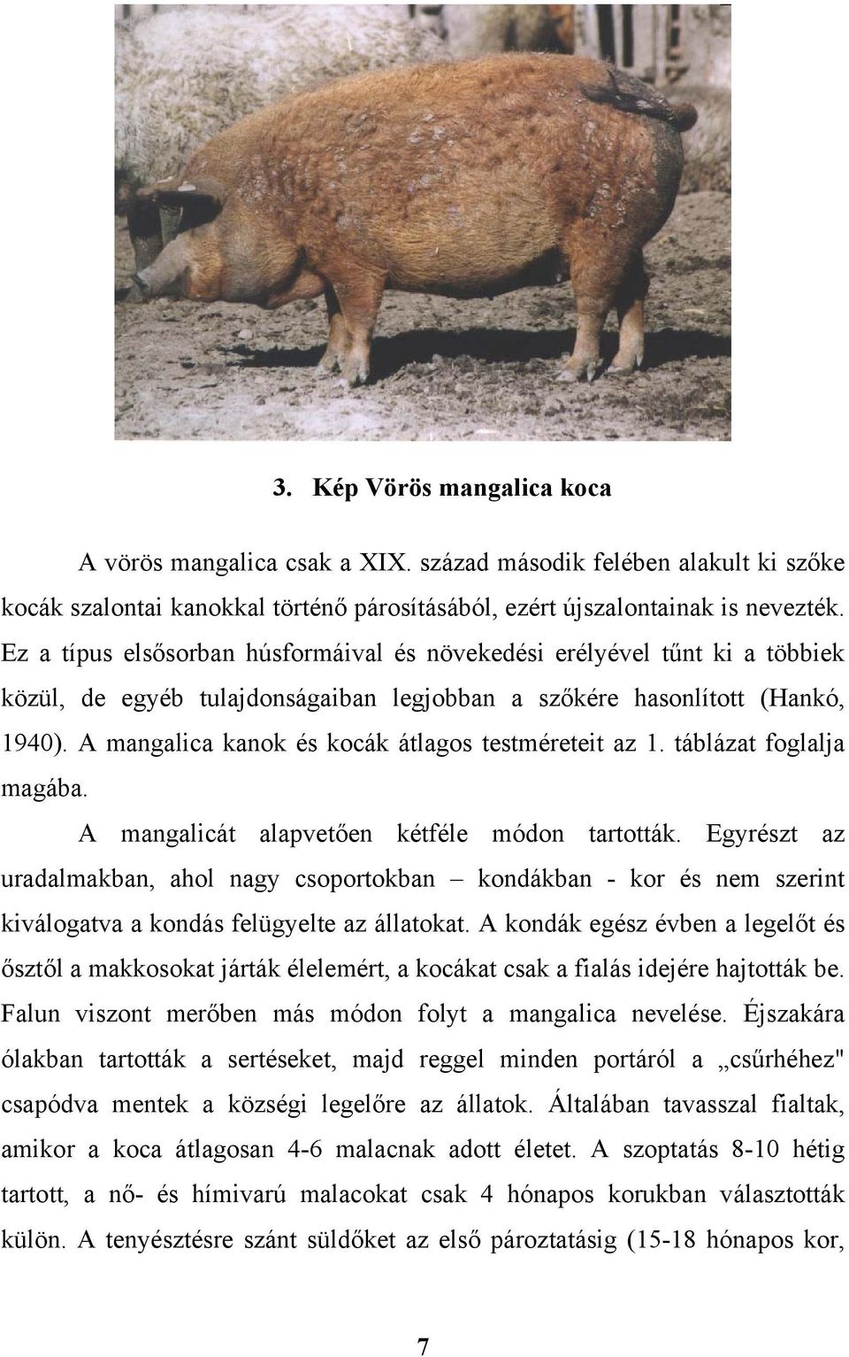 A mangalica kanok és kocák átlagos testméreteit az 1. táblázat foglalja magába. A mangalicát alapvetően kétféle módon tartották.
