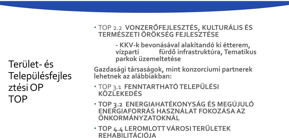 fürdő infrastruktúra, Tematikus parkok üzemeltetése Gazdasági társaságok, mint konzorciumi partnerek lehetnek az