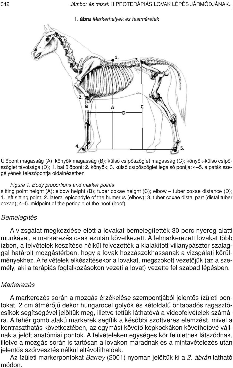 külsô csípôszöglet legalsó pontja; 4 5. a paták szegélyének felezôpontja oldalnézetben Figure 1.