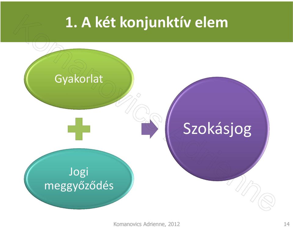 Szokásjog Jogi