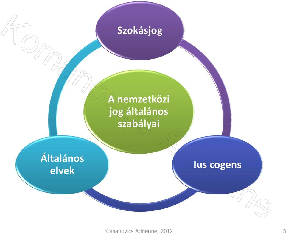 Általános elvek Ius