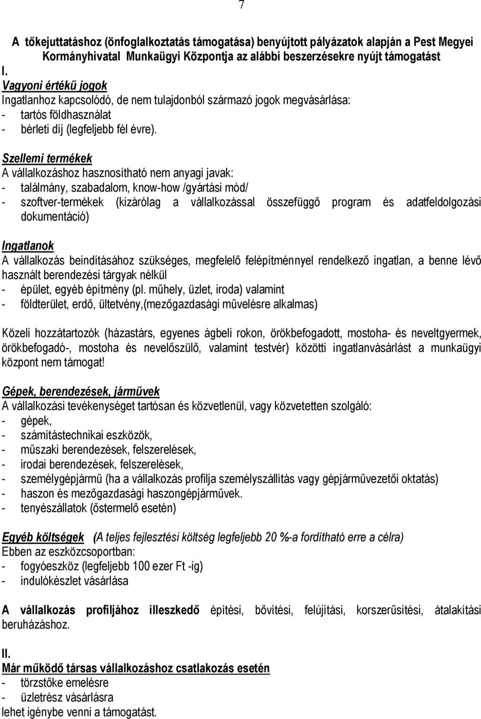 Szellemi termékek A vállalkozáshoz hasznosítható nem anyagi javak: - találmány, szabadalom, know-how /gyártási mód/ - szoftver-termékek (kizárólag a vállalkozással összefüggő program és