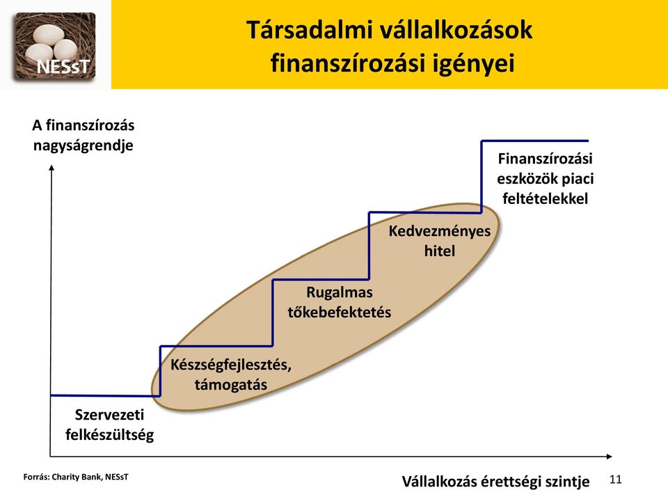 tőkebefektetés Kedvezményes hitel Készségfejlesztés, támogatás