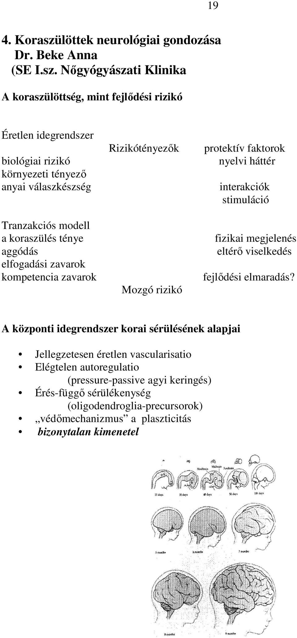 Nıgyógyászati Klinika A koraszülöttség, mint fejlıdési rizikó Éretlen idegrendszer biológiai rizikó környezeti tényezı anyai válaszkészség Tranzakciós modell a koraszülés
