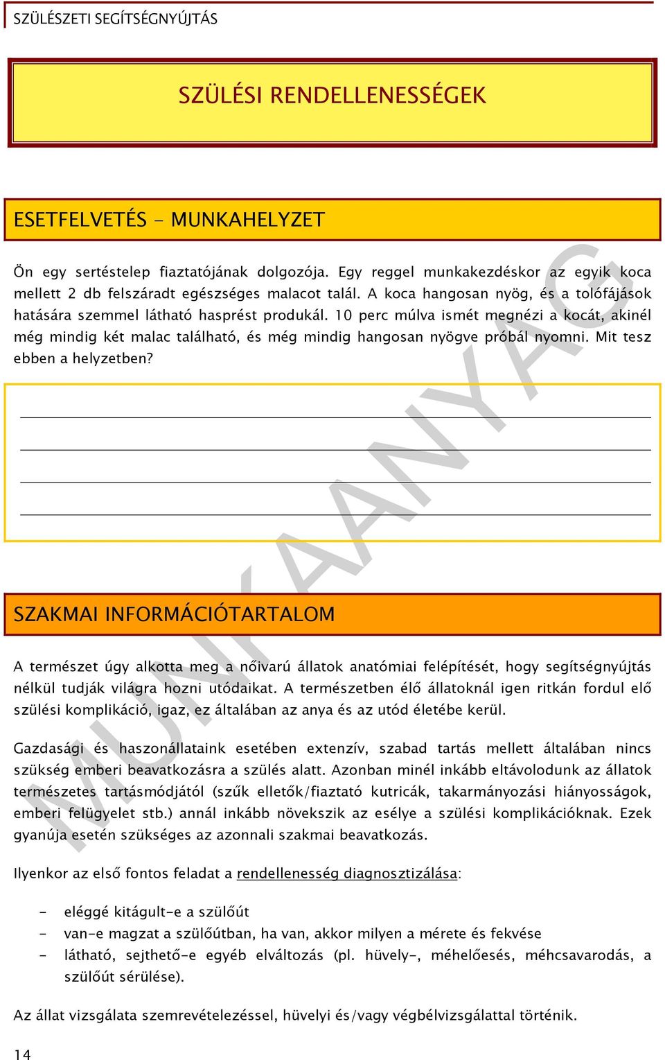 10 perc múlva ismét megnézi a kocát, akinél még mindig két malac található, és még mindig hangosan nyögve próbál nyomni. Mit tesz ebben a helyzetben?