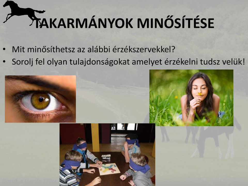 érzékszervekkel?