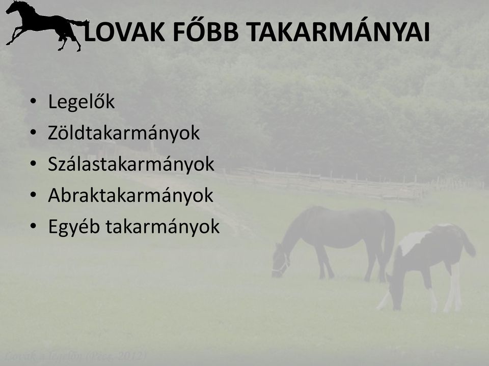 Szálastakarmányok