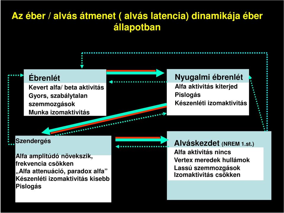 izomaktivitás Szendergés Alfa amplitúdó növekszik, frekvencia csökken Alfa attenuáció, paradox alfa Készenléti