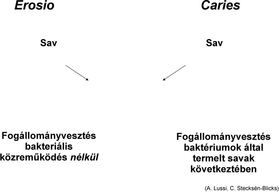 Fogállományvesztés baktériumok által