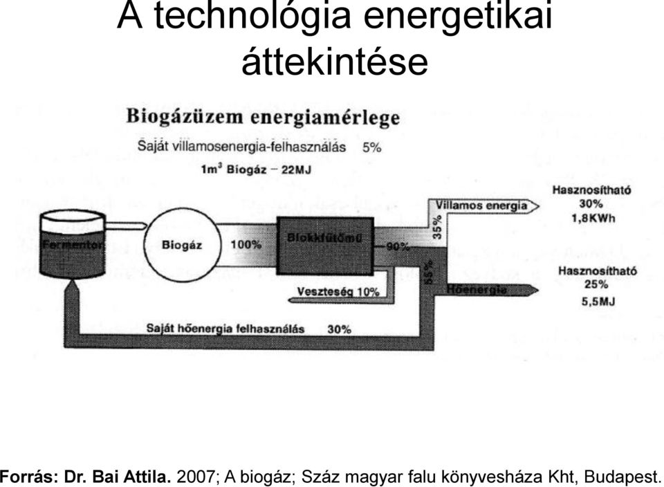 Bai Attila.